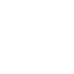 とかげのさんぽ